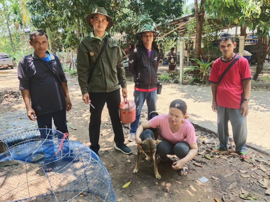 งานสาธารณสุข สำนักปลัด อบต.นาดี  ร่วมกับผู้นำชุมชน ลงพื้นที่ฉีดวัคซีนป้องกันโรคพิษสุนัขบ้า ในพื้นที่บ้านหนองสิมมา หมู่ที่ 8 และบ้านหนองสิมมาใต้ หมู่ที่ 12 ตำบลนาดี