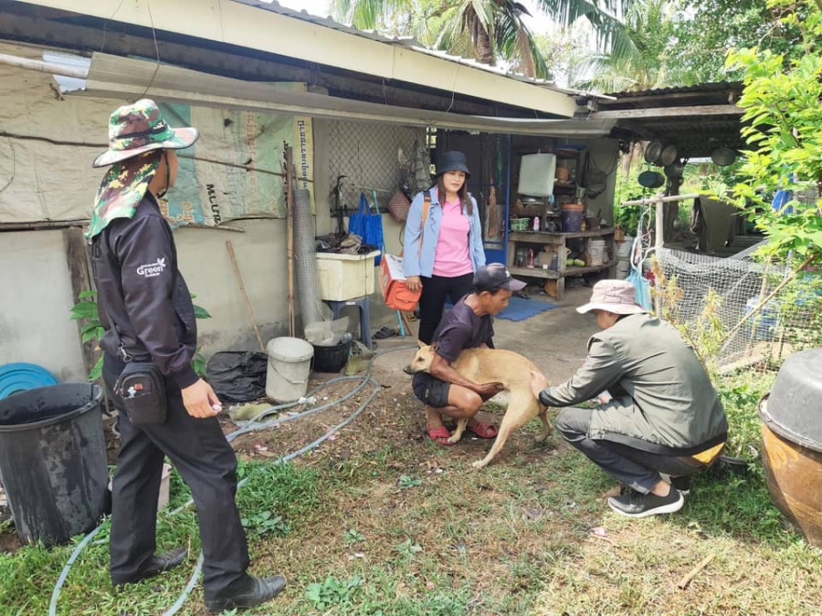 งานสาธารณสุข สำนักปลัด อบต.นาดี  ร่วมกับผู้นำชุมชน ลงพื้นที่ฉีดวัคซีนป้องกันโรคพิษสุนัขบ้า ในพื้นที่บ้านห้วยหอย หมู่ที่ 5 ตำบลนาดี อำเภอนาเยีย จังหวัดอุบลราชธานี